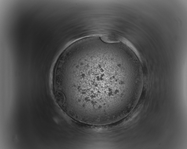 X0000088371099200705291322