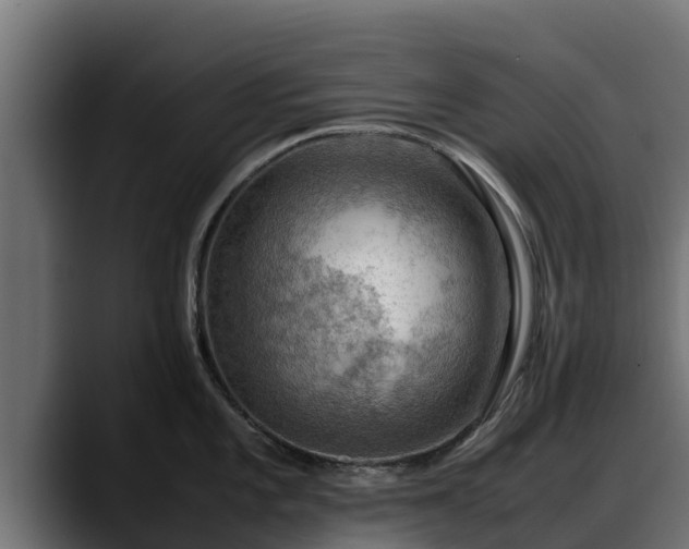 X0000088371101200705291322