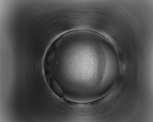 X0000088371102200705291322