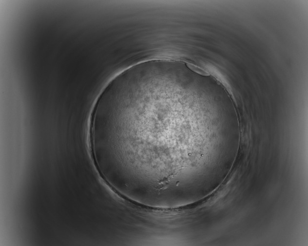X0000088371103200705291322
