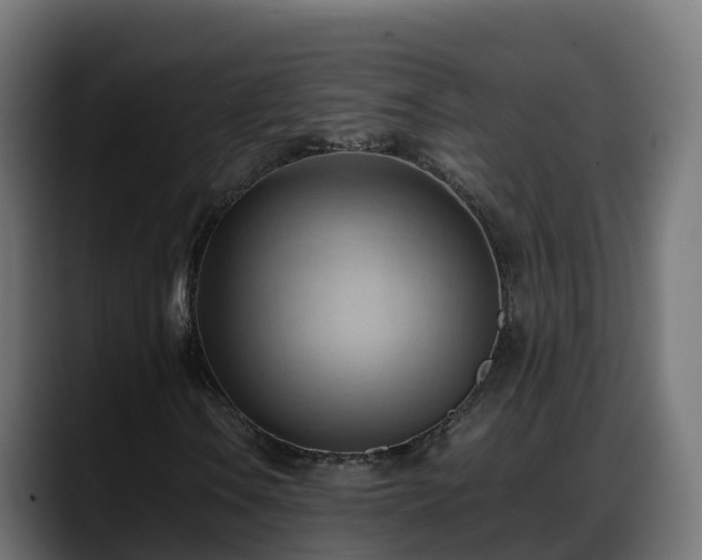 X0000088371106200705291322