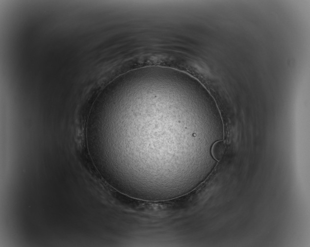 X0000088371109200705291322