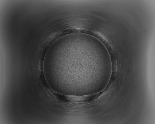 X0000088371110200705291322