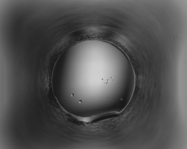 X0000088371111200705291322