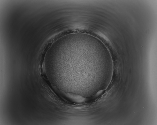 X0000088371112200705291322