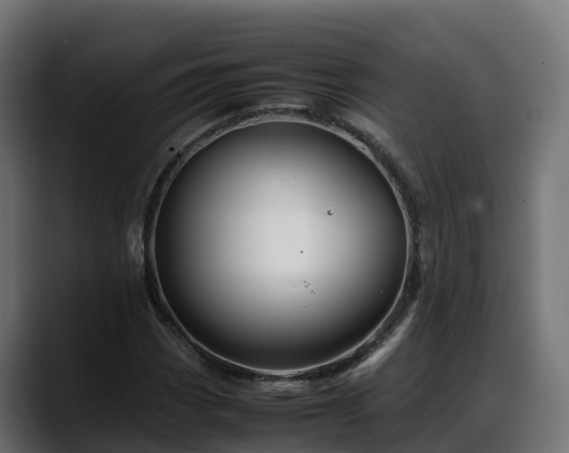 X0000088371113200705291322