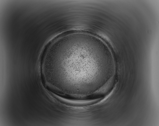 X0000088371114200705291322