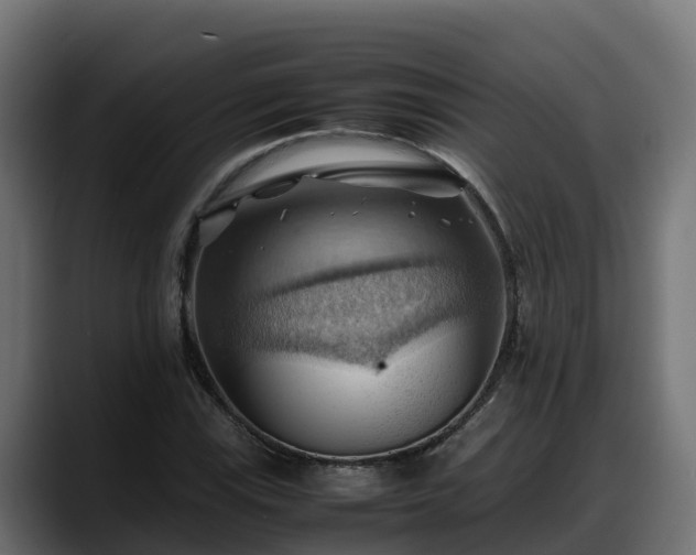 X0000088371115200705291322