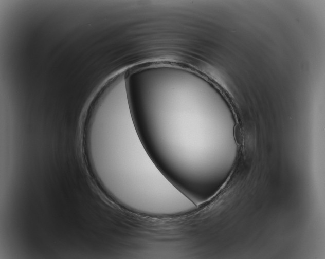 X0000088371116200705291322