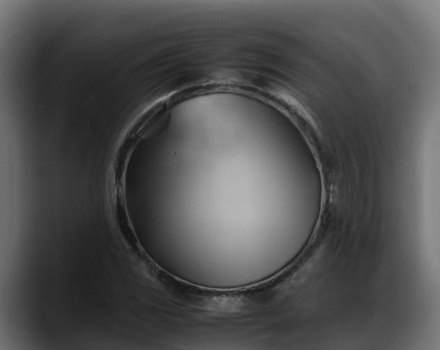 X0000088371117200705291322