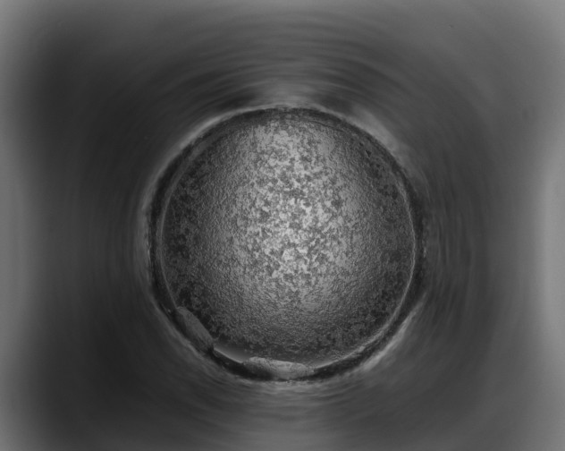 X0000088371118200705291322