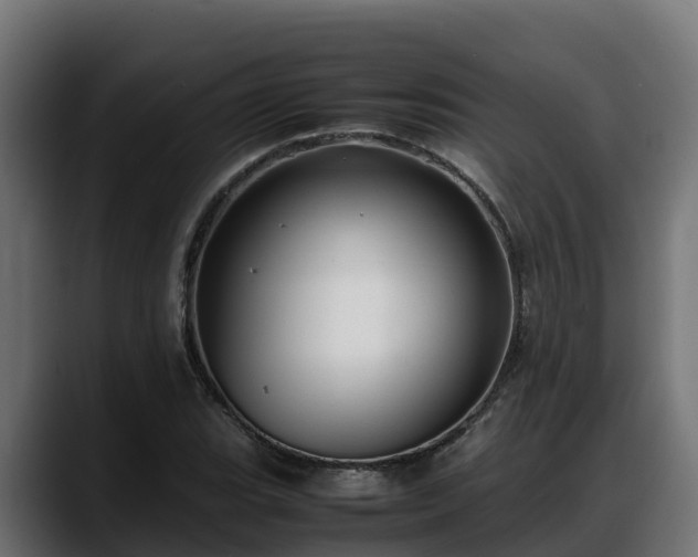 X0000088371119200705291322