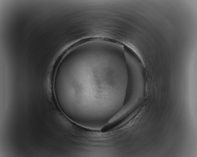 X0000088371120200705291322