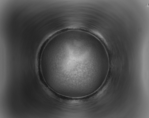 X0000088371122200705291322