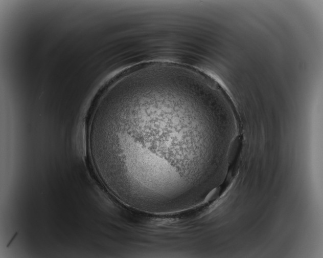 X0000088371123200705291322