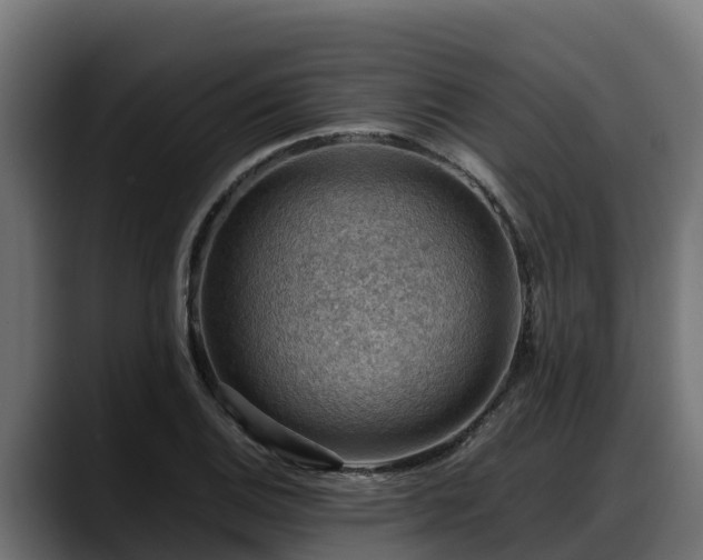 X0000088371124200705291322