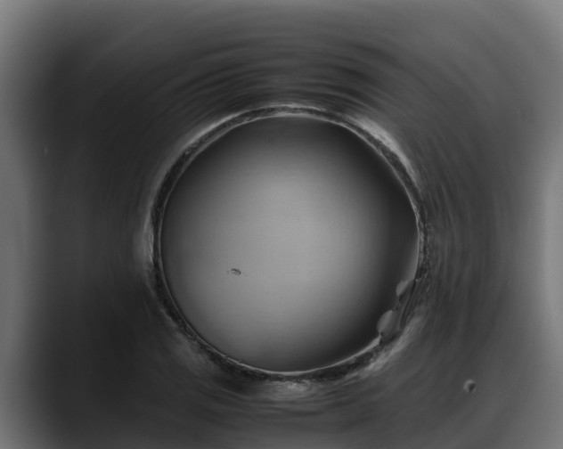 X0000088371125200705291322