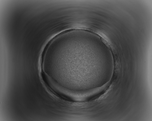 X0000088371128200705291322