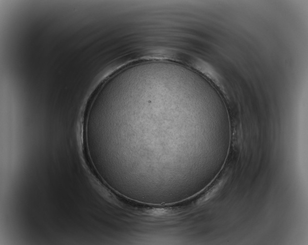 X0000088371130200705291322