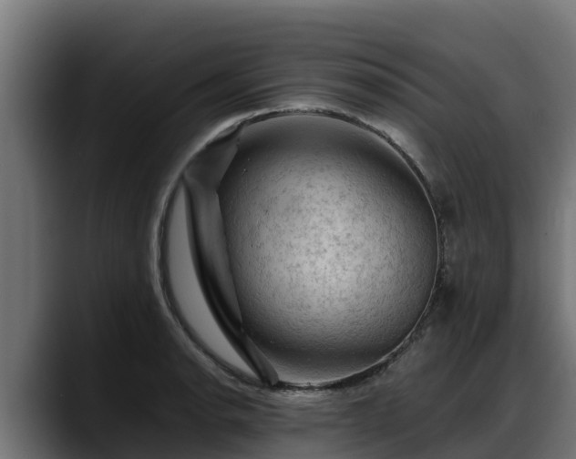 X0000088371134200705291322
