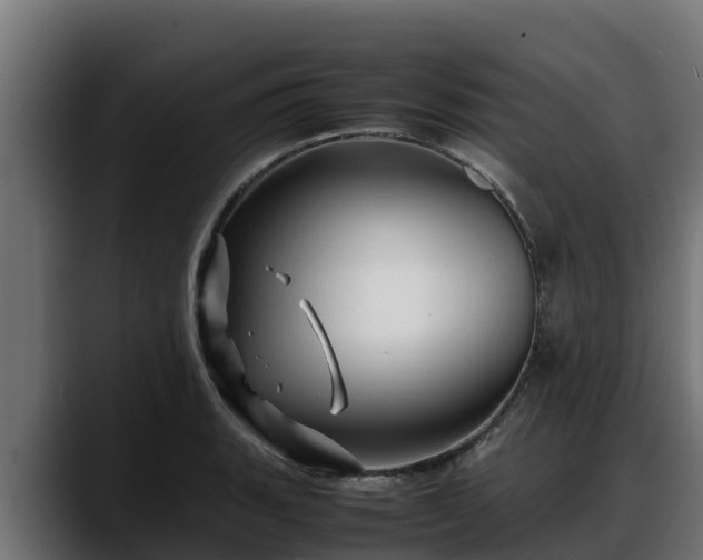 X0000088371135200705291322