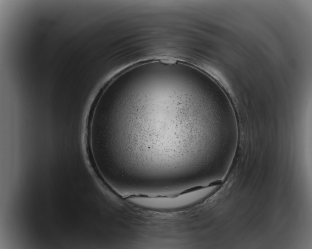 X0000088371136200705291322