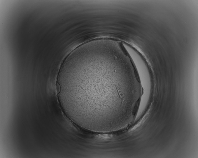 X0000088371137200705291322