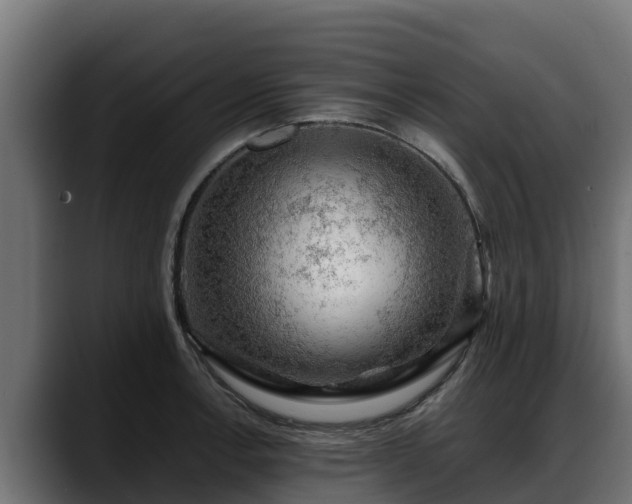 X0000088371138200705291322