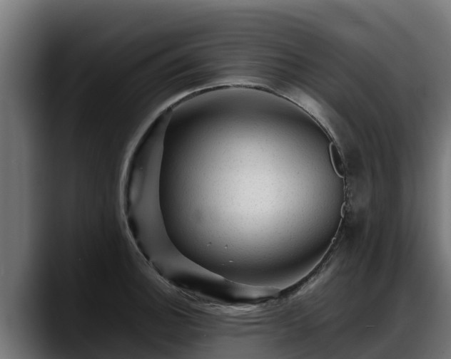 X0000088371140200705291322