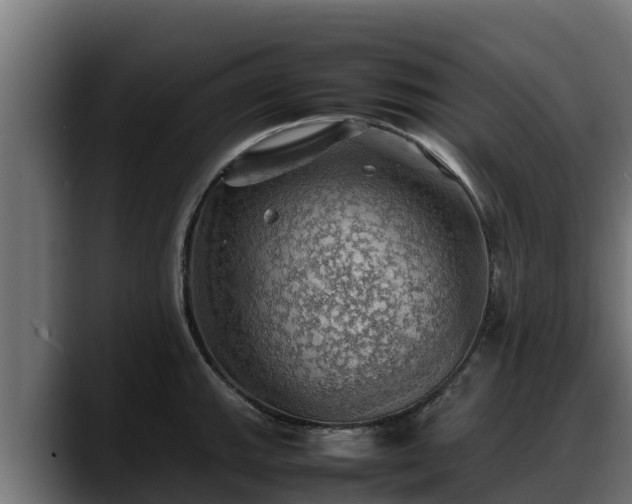 X0000088371143200705291322