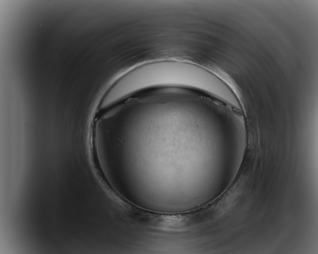 X0000088371144200705291322