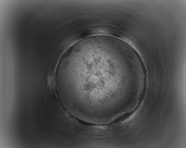 X0000088371145200705291322