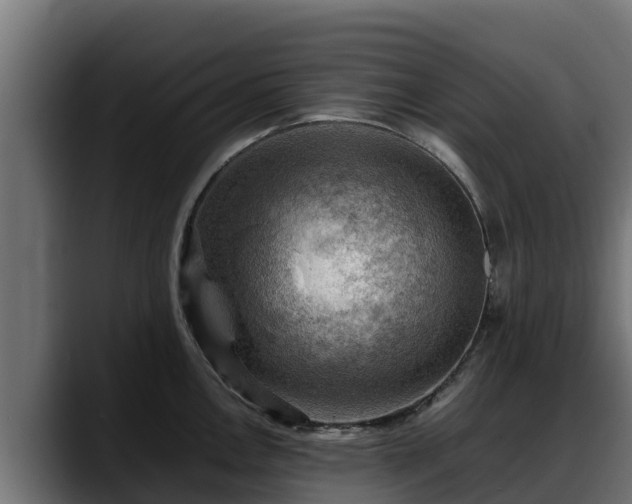 X0000088371146200705291322