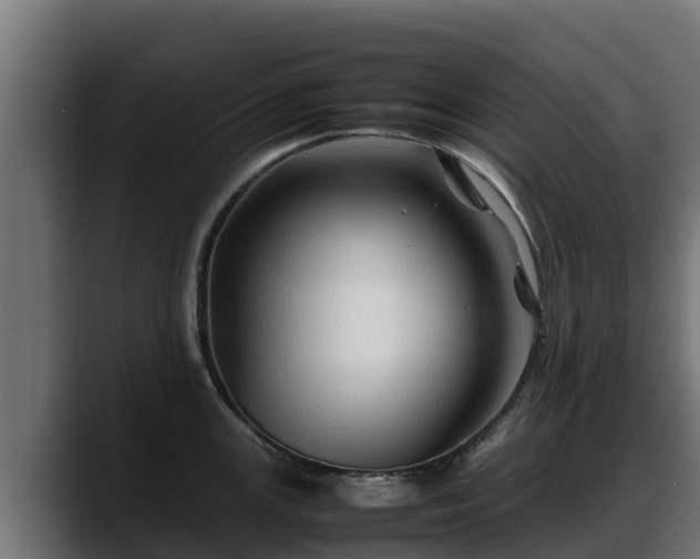 X0000088371147200705291322