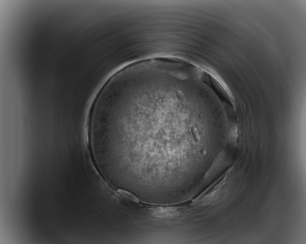 X0000088371148200705291322