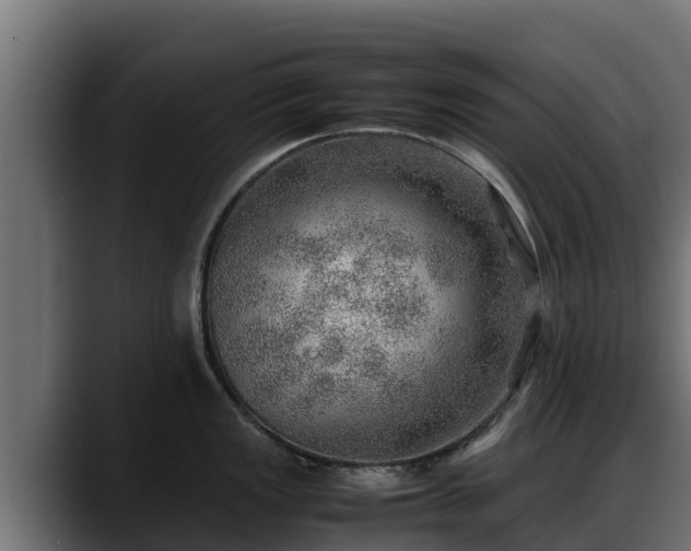 X0000088371149200705291322