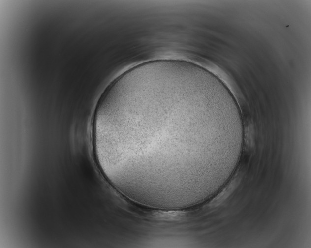 X0000088371150200705291322