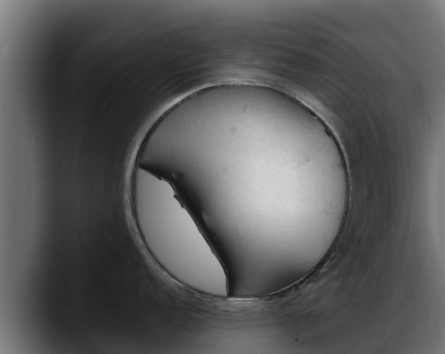 X0000088371152200705291322
