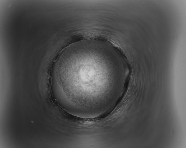 X0000088371153200705291322