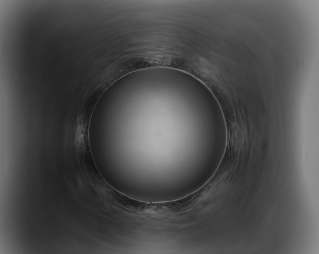 X0000088371154200705291322