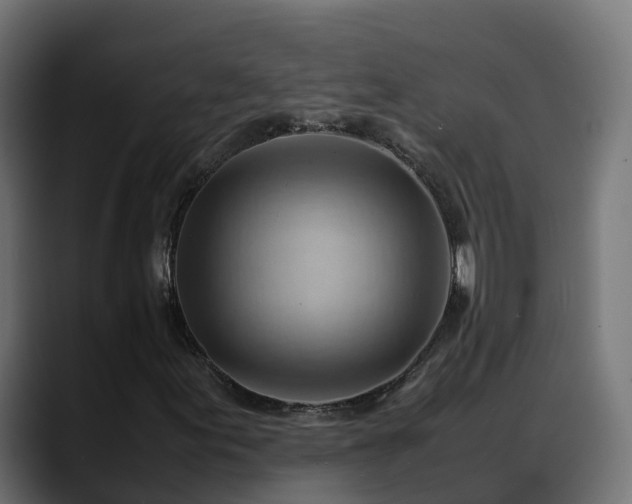 X0000088371155200705291322