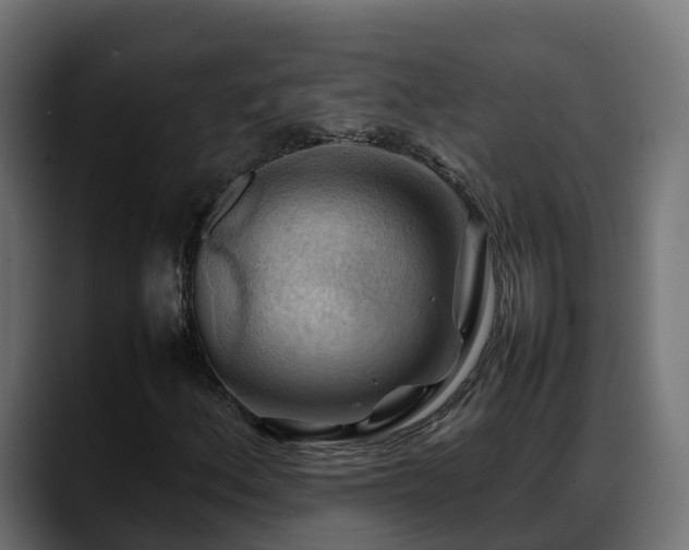 X0000088371156200705291322