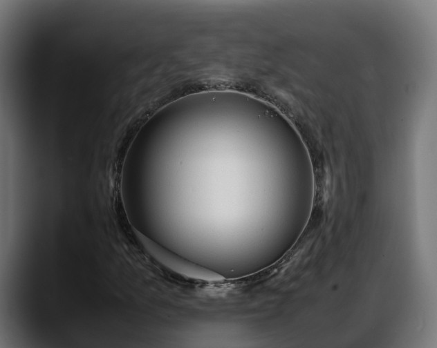 X0000088371157200705291322
