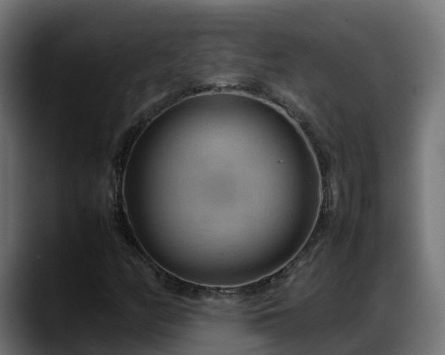 X0000088371158200705291322
