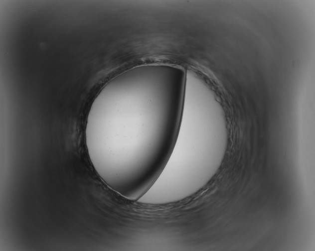 X0000088371160200705291322