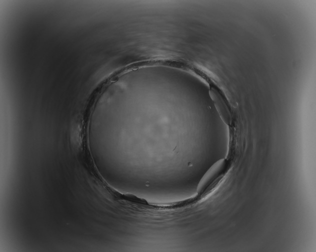 X0000088371163200705291321