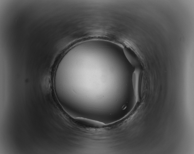 X0000088371164200705291321