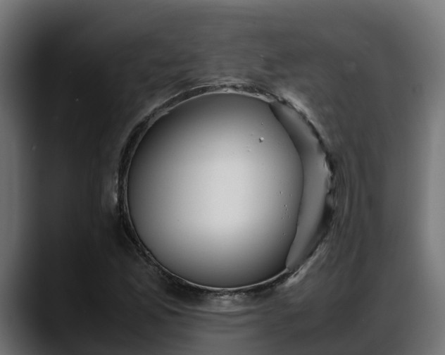X0000088371165200705291321