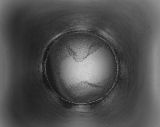X0000088371166200705291321