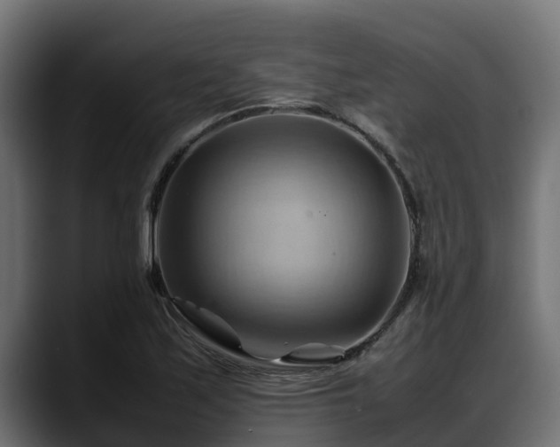 X0000088371171200705291321